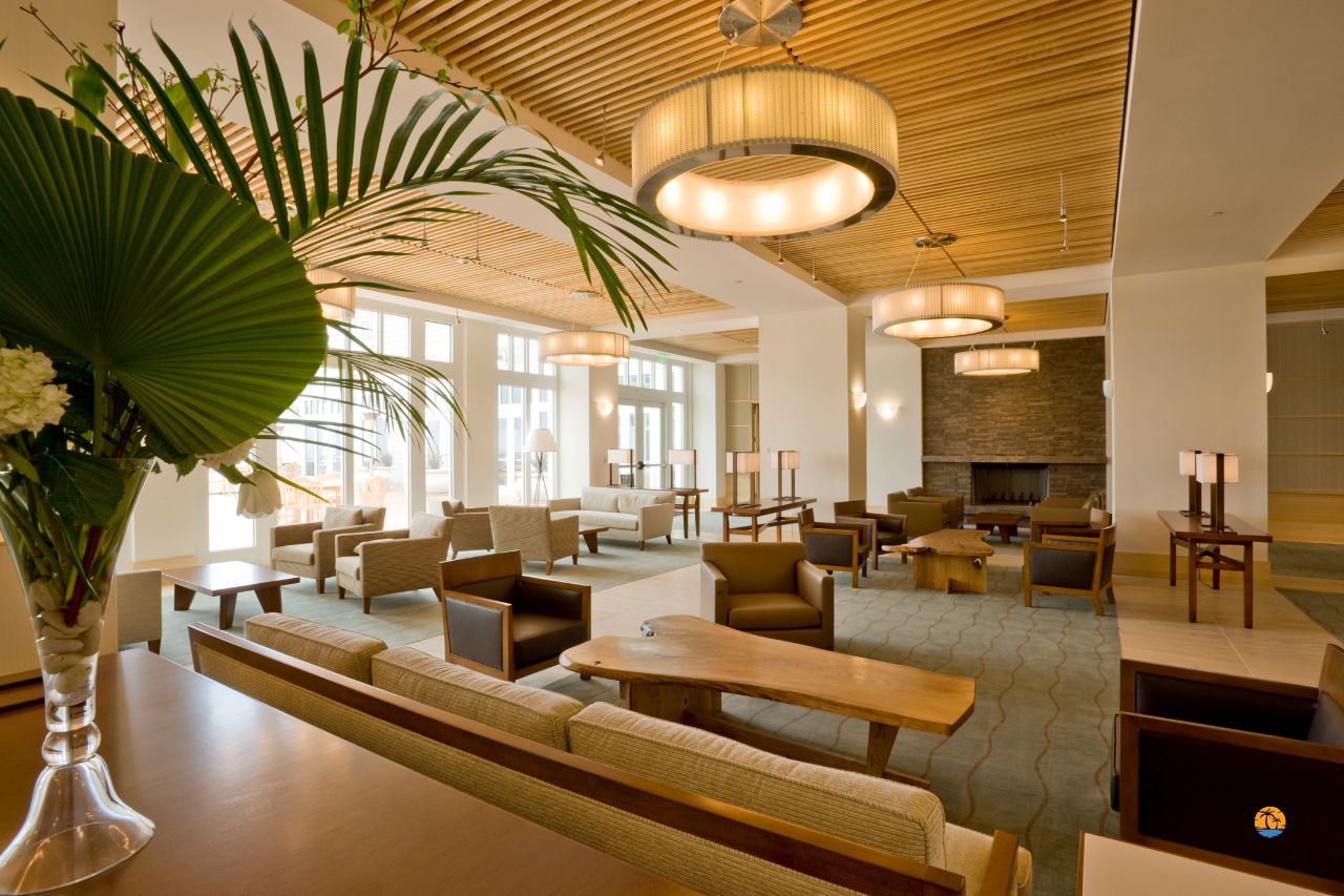 Jasna restauracja hotelowa z roślinami i nowoczesnym wystrojem w ciepłych barwach drewna